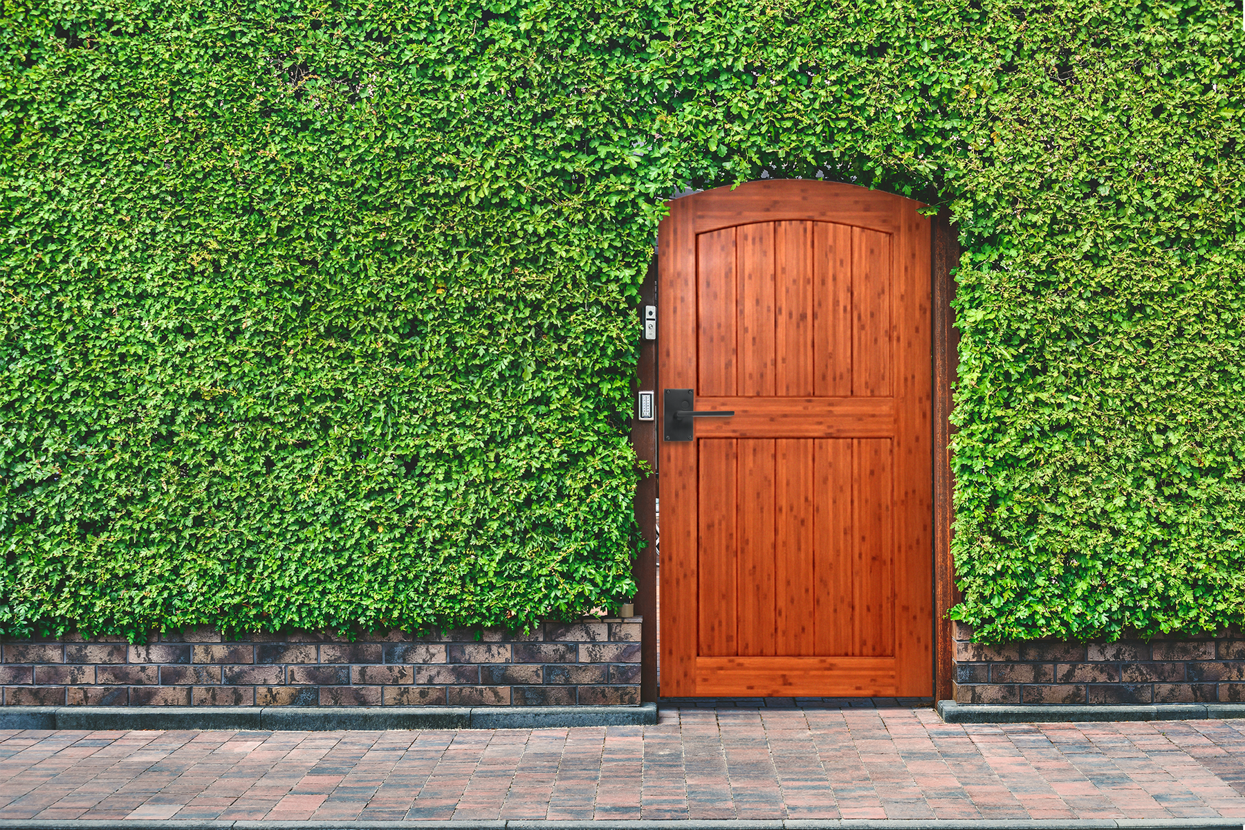 Arched bamboo gate in a green wall