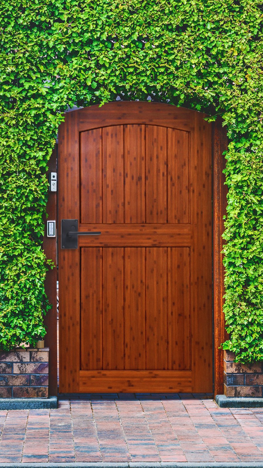 Umber-stained arched bamboo gate set in an ivy-covered wall